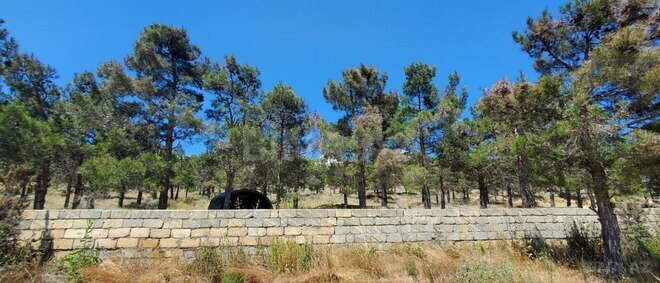 Satılır  torpaq 24 sot, Badamdar q., photo 7 from 8