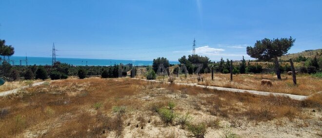 Satılır  torpaq 24 sot, Badamdar q., photo 5 from 8