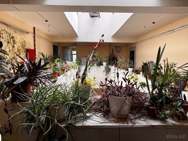 Satılır 2 otaqlı yeni tikili 85 m², Badamdar q., photo 13 from 14
