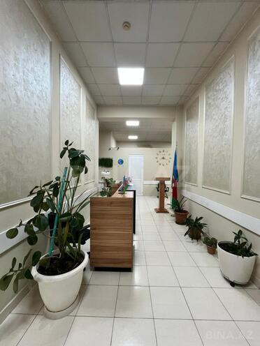 Сдаётся 5-комн. офис 200 м², м. Гянджлик, photo 11 from 16