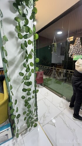 Сдаётся  объект 35 м², м. Нефтчиляр, photo 8 from 11