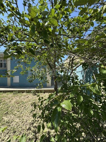 Satılır 6 otaqlı həyət evi/bağ evi 160 m², Kürdəxanı q., photo 11 from 32