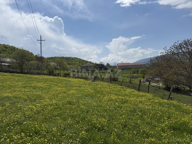 Satılır  torpaq 6 sot, photo 5 from 7