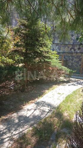 Satılır  torpaq 2 sot, Badamdar q., photo 5 from 16