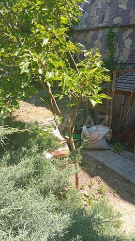 Satılır  torpaq 2 sot, Badamdar q., photo 11 from 16