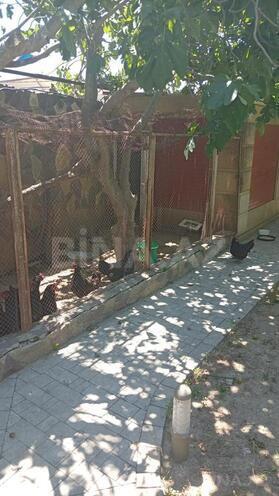 Satılır  torpaq 2 sot, Badamdar q., photo 15 from 16