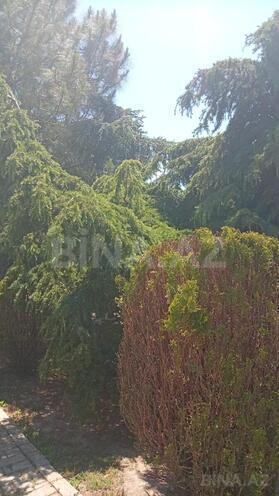 Satılır  torpaq 2 sot, Badamdar q., photo 9 from 16