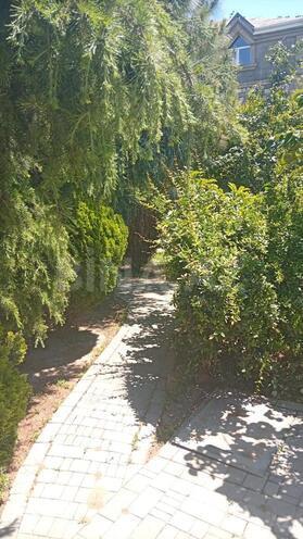Satılır  torpaq 2 sot, Badamdar q., photo 3 from 16