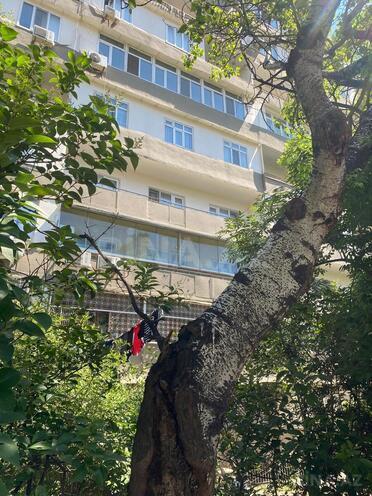 Продаётся 3-комн. вторичка 130 м², м. Гянджлик, photo 25 from 30