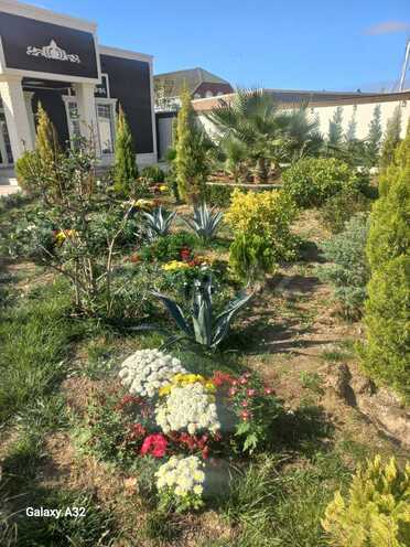 Satılır 4 otaqlı həyət evi/bağ evi 180 m², Mərdəkan q., photo 5 from 21