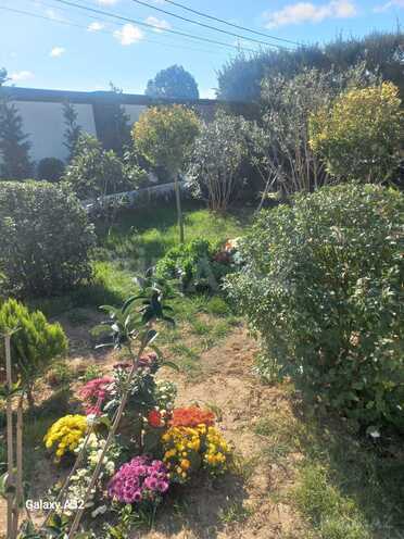 Satılır 4 otaqlı həyət evi/bağ evi 180 m², Mərdəkan q., photo 11 from 21