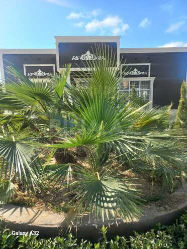 Satılır 4 otaqlı həyət evi/bağ evi 180 m², Mərdəkan q., photo 15 from 21