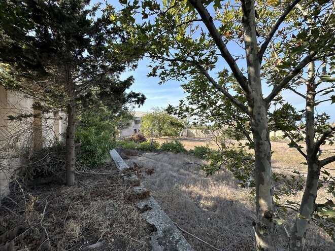 Satılır  torpaq 30 sot, Görədil q., photo 10 from 26