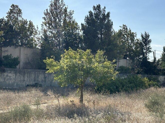 Satılır  torpaq 30 sot, Görədil q., photo 5 from 26