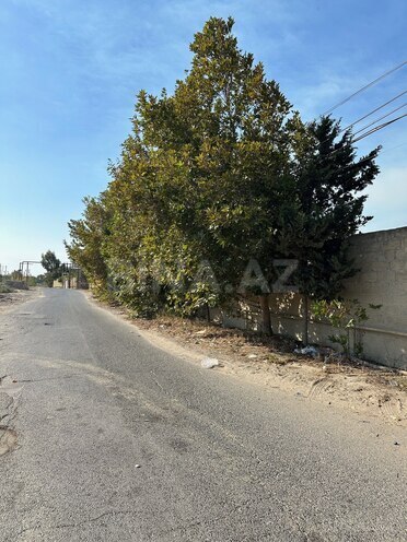 Satılır  torpaq 30 sot, Görədil q., photo 25 from 26