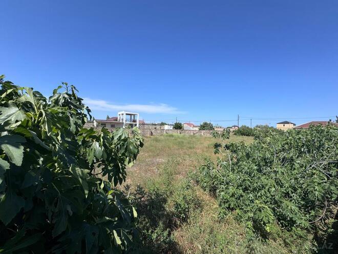 Satılır  torpaq 12 sot, Nardaran q., photo 5 from 9