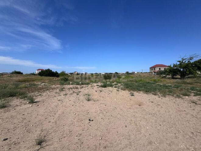 Satılır  torpaq 50 sot, Nardaran q., photo 1 from 13