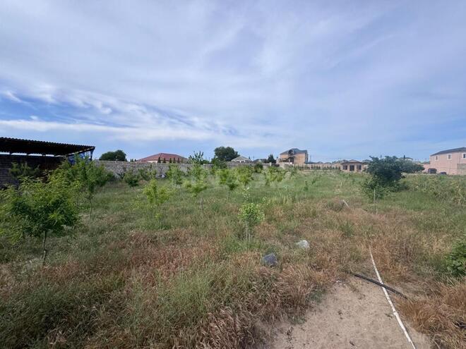 Satılır  torpaq 50 sot, Nardaran q., photo 4 from 19