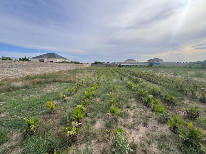 Satılır  torpaq 50 sot, Nardaran q., photo 15 from 19