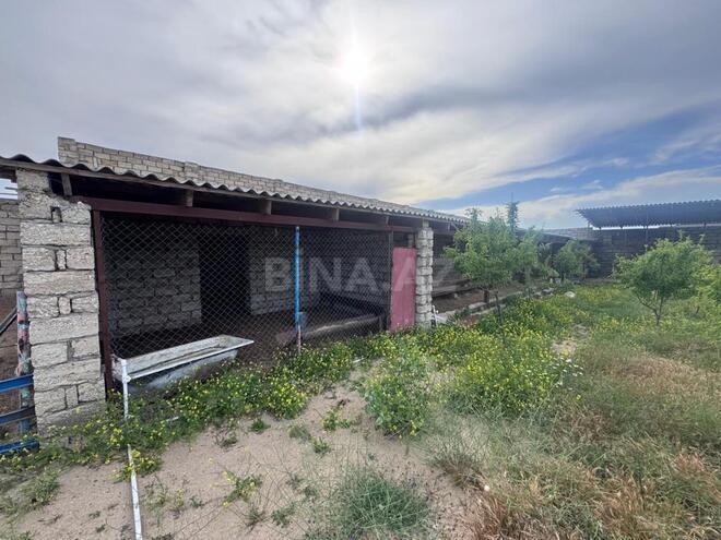 Satılır  torpaq 50 sot, Nardaran q., photo 8 from 19