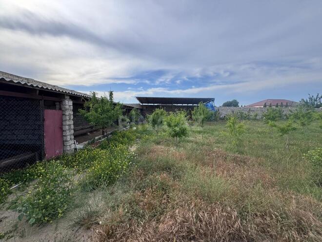Satılır  torpaq 50 sot, Nardaran q., photo 11 from 19
