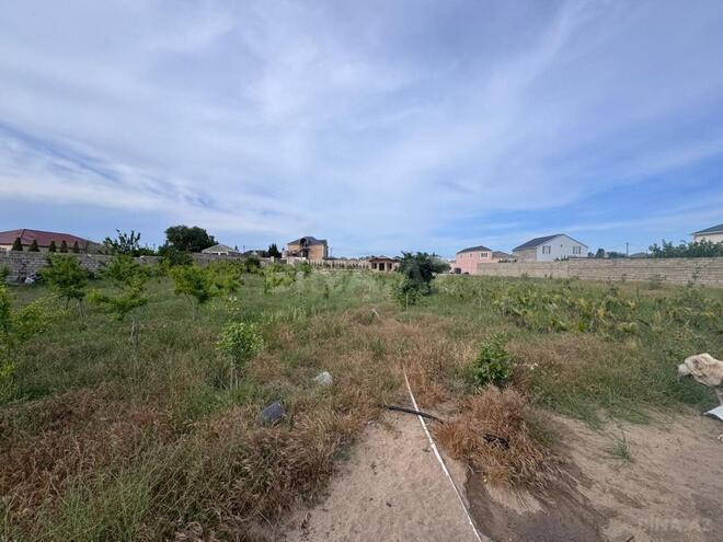 Satılır  torpaq 50 sot, Nardaran q., photo 12 from 19