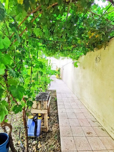 İcarəyə verilir 5 otaqlı həyət evi/bağ evi 280 m², Buzovna q., photo 4 from 24