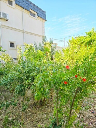 İcarəyə verilir 5 otaqlı həyət evi/bağ evi 280 m², Buzovna q., photo 7 from 24