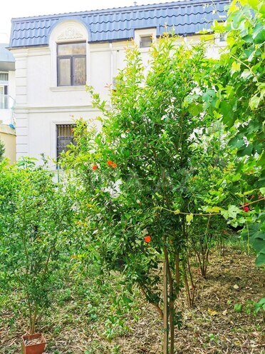 İcarəyə verilir 5 otaqlı həyət evi/bağ evi 280 m², Buzovna q., photo 8 from 24