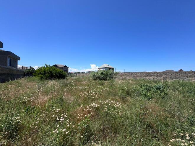 Satılır  torpaq 11 sot, Nardaran q., photo 4 from 12