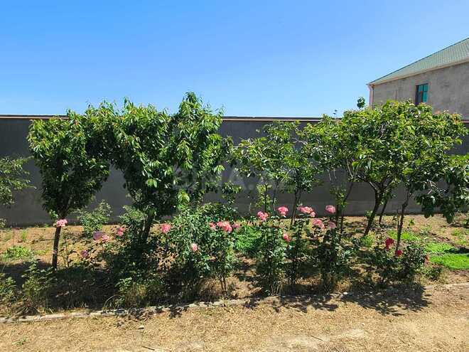 Satılır 10 otaqlı həyət evi/bağ evi 800 m², Badamdar q., photo 16 from 23
