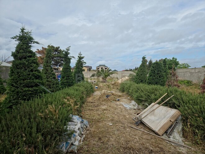 Продаётся  участок 12 сот, пос. Мардакан, photo 4 from 8