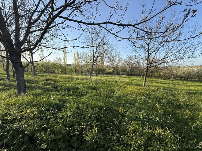 Продаётся  участок 5 сот, photo 4 from 10