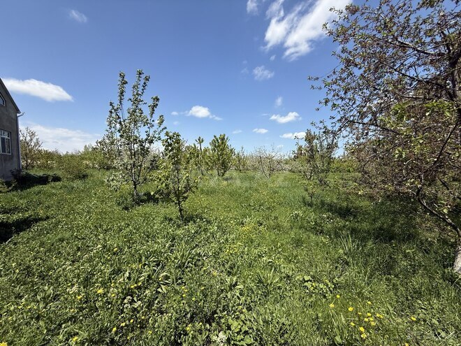 Продаётся  участок 6 сот, photo 6 from 10