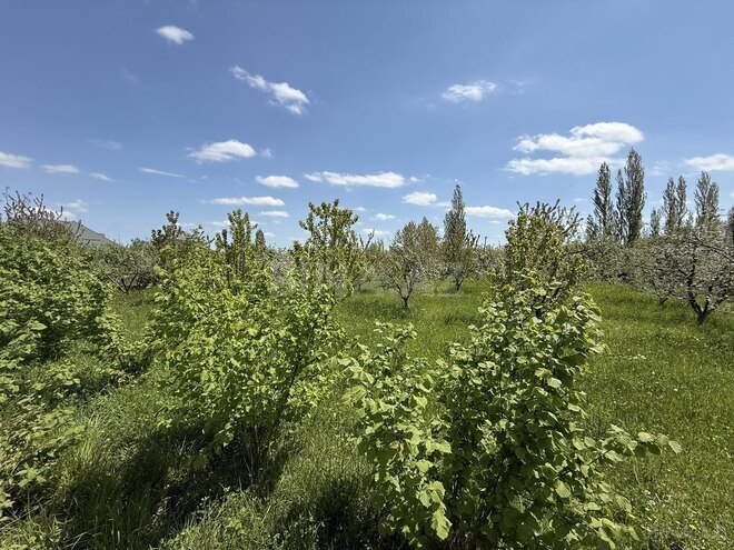 Продаётся  участок 6 сот, photo 5 from 10