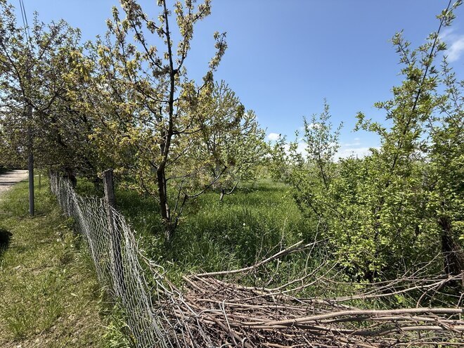 Продаётся  участок 6 сот, photo 4 from 10
