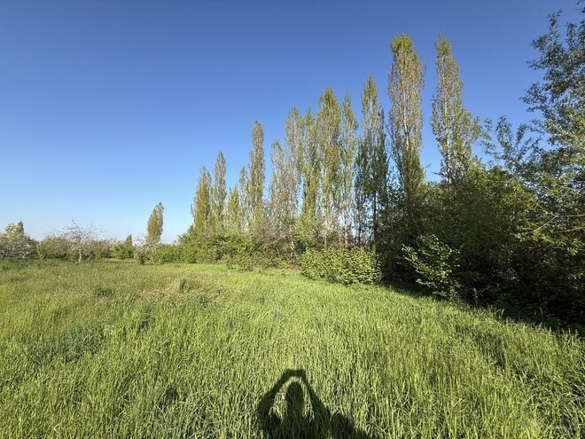 Продаётся  участок 6 сот, photo 3 from 10