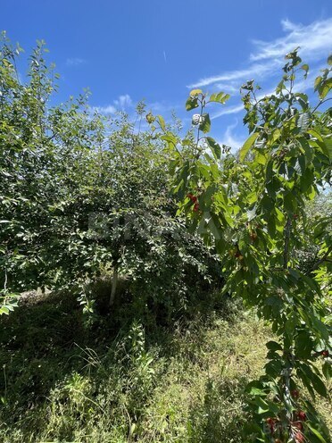 Satılır 3 otaqlı həyət evi/bağ evi 200 m², Novxanı q., photo 9 from 32