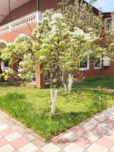 Сдаётся 5-комн. дом/дача 250 м², пос. Мардакан, photo 10 from 21
