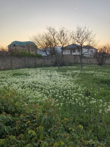 Продаётся  участок 5 сот, пос. Сарай, photo 4 from 20
