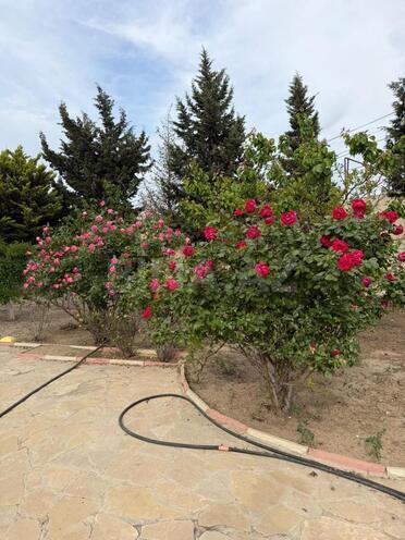 İcarəyə verilir 5 otaqlı həyət evi/bağ evi 400 m², Novxanı q., photo 14 from 17