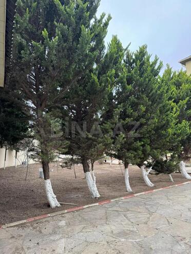 İcarəyə verilir 5 otaqlı həyət evi/bağ evi 400 m², Novxanı q., photo 11 from 17