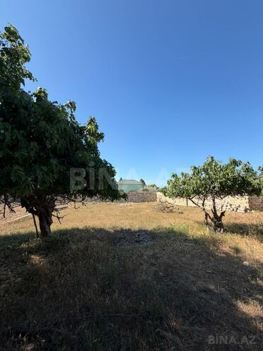 Satılır  torpaq 10 sot, Novxanı q., photo 12 from 15