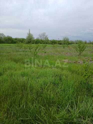 Satılır  torpaq 6 sot, Saray q., photo 1 from 3