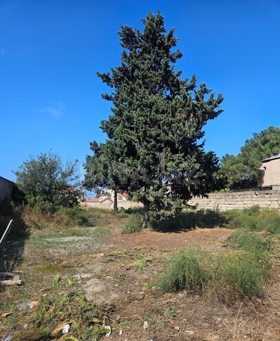 Satılır  torpaq 18 sot, Bilgəh q., photo 1 from 7