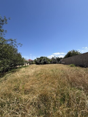 Satılır  torpaq 10 sot, Novxanı q., photo 3 from 6