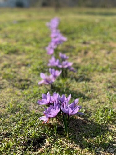 Продаётся  участок 8.1 сот, пос. Бильгях, photo 6 from 7