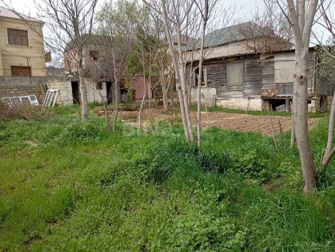 Satılır  torpaq 7 sot, Badamdar q., photo 5 from 15
