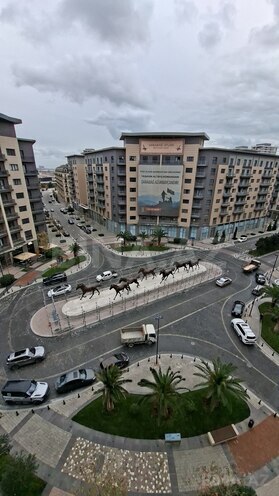 İcarəyə verilir  obyekt 564 m², Ağ şəhər q., photo 4 from 10