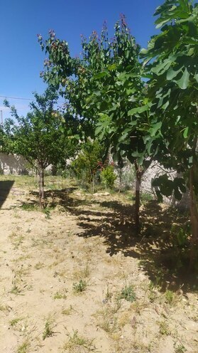 Satılır 6 otaqlı həyət evi/bağ evi 185 m², Novxanı q., photo 10 from 31